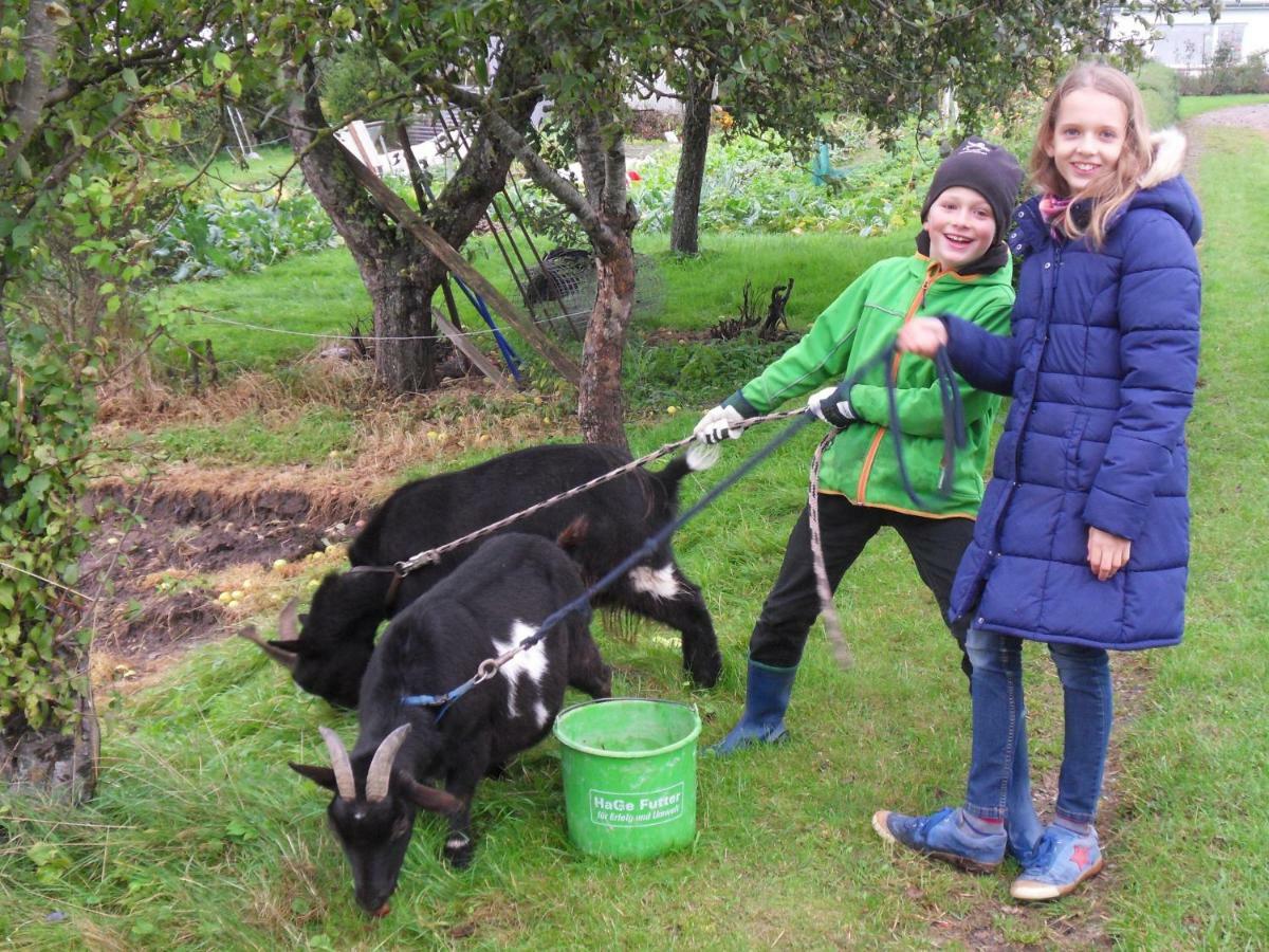 Hansenhof Kappeln Ngoại thất bức ảnh