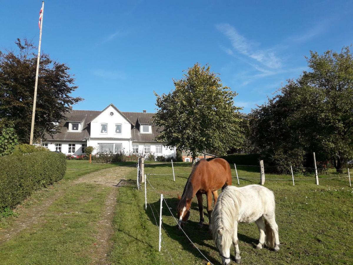 Hansenhof Kappeln Ngoại thất bức ảnh